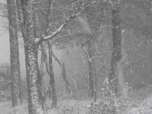 Beklenen Kar Yağışı Anadolu Yakası’nda Başladı