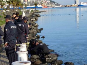 İ̇ki Çocuk Annesi Kadının Denizde Cesedi Bulundu