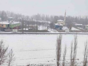 Iğdır’da Kar Yağışı Etkili Oluyor