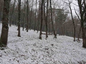 Çanakkale’de Kar Yağışı Etkili Oluyor