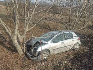 Otomobil Ceviz Ağacına Çarptı: 2 Yaralı