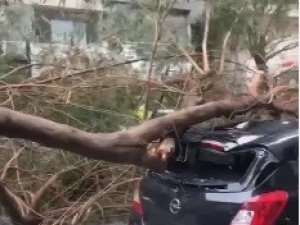 İ̇zmir’de Fırtına Hayatı Olumsuz Etkiledi
