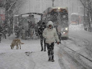 Engelli Ve Hamile Kamu Personeline Kar İzni