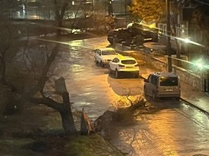 Balıkesir’de Fırtına Nedeni İle Ağaçlar Devrildi, Çatılar Uçtu