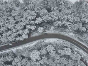 Aydın’da Kara Kış Etkisini Gösterdi