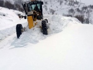 Kar Nedeniyle 22 Köy Yolu Kapandı