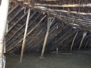 Muş’ta Bir Ahır Çöktü, Evlerde Çatlaklar Oluştu