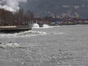 Dev Dalgalar Sahil Şeridini Aştı