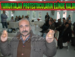Yumurtalar Ceplerinde Kaldı