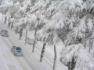 Bitlis’te Kar Kalınlığı 2 Metreye Ulaştı