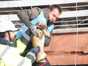 6 Katlı Bina Enkazından Sağ Çıktı, Depremzede Kadın Sahiplendi