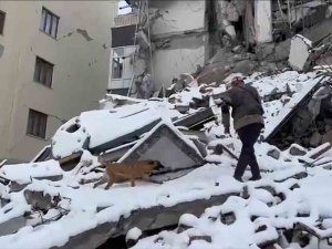 Tsk’ya Ait Arama Kurtarma Köpekleri Enkaz Çalışmalarında Görev Alıyor