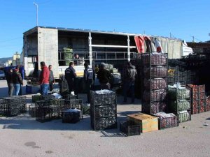 Antalya’dan Afet Bölgesine 100 Ton Sebze