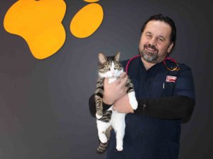 Kedi Ve Köpeklerin Depreme Hassasiyeti Can Ve Mal Kaybını Önlüyor