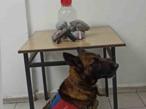 Jandarmadan Uyuşturucu Operasyonu: 1 Gözaltı