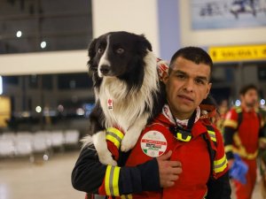 Meksika, Meşhur Arama Kurtarma Köpeklerini Türkiye’ye Gönderdi