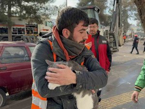 3 Gündür Ağır Hasarlı Binada Mahsur Kalmıştı, Görevliler Kurtardı