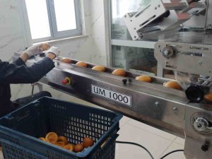 Okullarda Üretilen Ekmekler Deprem Bölgesine Gönderiliyor