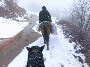 Depremzedelere Katır Sırtında Yardım Taşıyorlar
