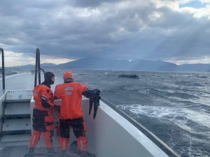 İ̇zmir’de 50 Göçmen Kurtarıldı