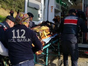 Alzheimer Hastası Yaşlı Adam Bulundu