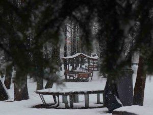 Sakarya’da Kar Yağışı Etkili Oluyor