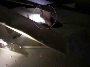‘Sakarya’nın Deprem Çocukları Geldi Sizi Alacak Korkmayın’