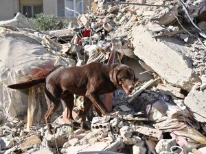 ‘Ateş’ Yürek Isıtmak İçin Çalışıyor