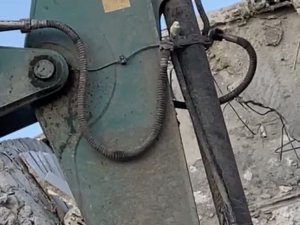 Kahramanmaraş’ta, Burdur Afad Gönüllülerinin Kuş Hassasiyeti