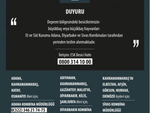 Esk, Depremden Etkilenen Sahipsiz Veya Bakım İmkanı Olmayan Hayvanları Alıyor