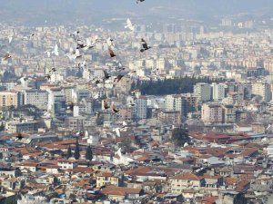 Hatay’da Depremin Bıraktığı Enkaz Havadan Görüntülendi