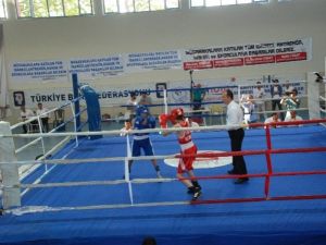 Türkiye Boks Şampiyonası Adıyaman’da Başladı