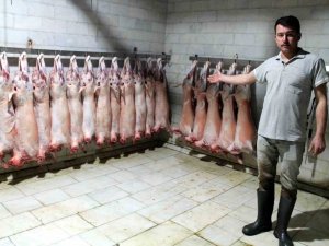 Hayvan Üreticileri Kuzularını Keserek Bağış Yapıyor