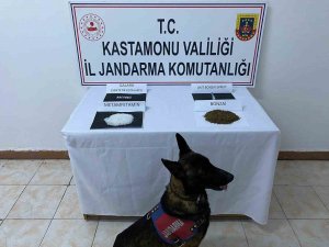 Yol Kontrol Sırasında Durdurulan Araçlarda Uyuşturucu Yakalandı: 6 Gözaltı