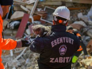 Hatay’da Enkaz Altında Kalan Kedi 121 Saat Sonra Kurtarıldı
