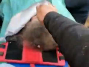 Hatay’da Depremin 131. Saatinde 7 Yaşındaki Ilgın Enkazdan Kurtarıldı