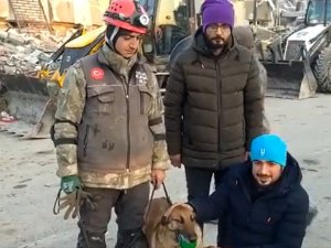 Msb: “Sıla Gibi Sahada Görev Yapan Tüm Can Dostlarımıza; İyi Ki Varsınız, İyi Ki Bizimlesiniz”