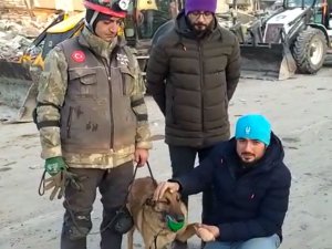 Hayat Kurtarırken Yaralanan Hassas Burun ’Sıla’ Tekrar Görev Başında