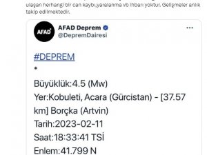 Gürcistan’daki Depremle İlgili Artvin Valiliğinde Açıklama Geldi