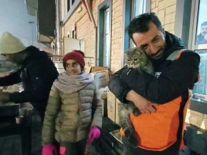 Çadır Kentin Neşesi Oldu: Terk Edilen Kediyi Afad Gönüllüleri Sahiplendi