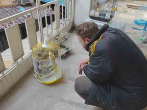 Depremde Petshopta Mahsur Kalan Kuşlar Kurtarıldı