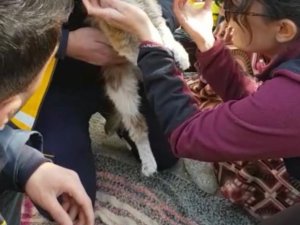 Hatay’da Yürekleri Isıtan Görüntüler