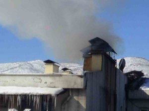 Tunceli’de Baca Yangını Büyümeden Söndürüldü