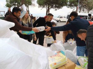 Depremzede Aileler Ünye’ye Gelmeye Başladı