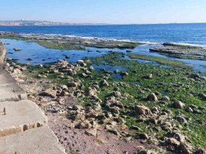 Marmara Denizi 25 Metre Çekildi: "Depremle Alakası Yok"