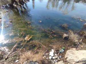 Elektrik Parasını Zimmetine Geçiren Muhtarın Yaptığı Akıllara Durgunluk Verdi