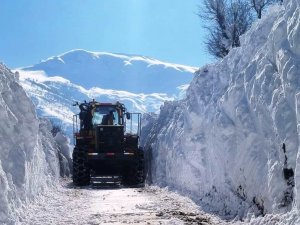 Bitlis’te Karla Mücadele Çalışmaları