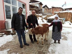 Kütahya Simavlı Gülper Teyze, Sattığı Tosunun Parasını Depremzedelere Bağışladı