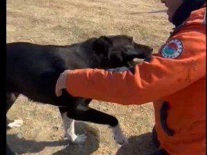 Kepez Belediyesi Enkazdan Kurtardığı Köpeği Sahiplendi