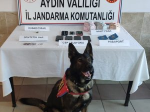 Nazilli’de Fuhuş Operasyonu